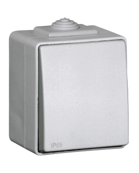 Single Pole Switch